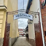 Hegyalja Fogado Frühstückspension 3*