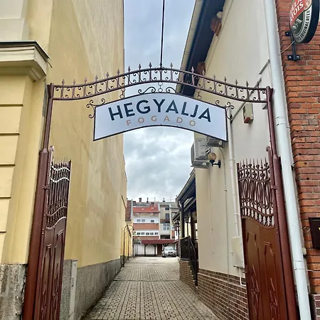 Hegyalja Bed and breakfast 3*