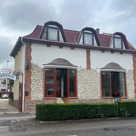 Bed & Breakfast Hegyalja Fogado Sarospatak