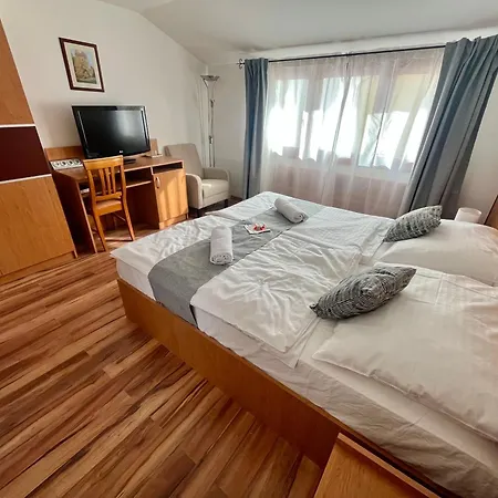 Hegyalja Fogado 3* Sarospatak