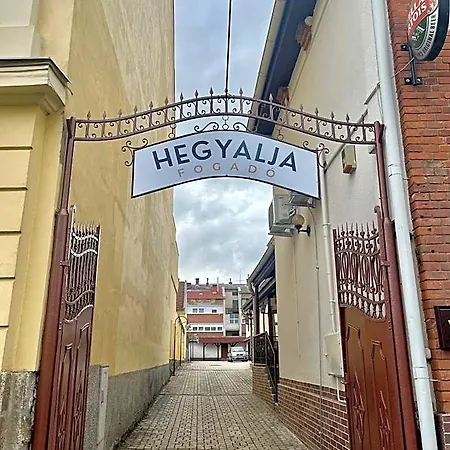 ベッド・アンド・ブレックファスト Hegyalja Fogado Sárospatak