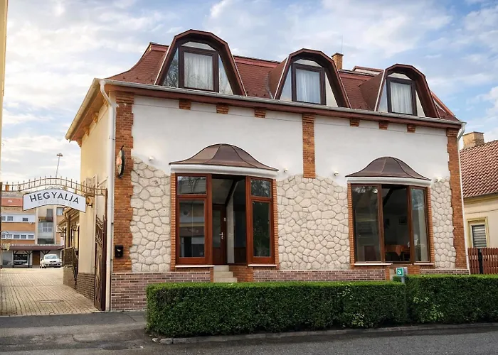 Hegyalja Fogado 3* Sárospatak